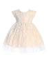 Baby Girls Blush French Lace Peek A Boo Tulle Flower Girl Dress 6-24 Months - SophiasStyle.com